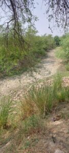 IMG-20250612-WA0834