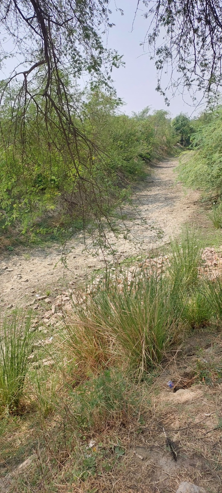 IMG-20250612-WA0834