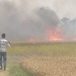 कुशीनगर :: अज्ञात कारणों से आग लगने से एक एकड़ गेहूं का फसल जलकर हुआ खाक